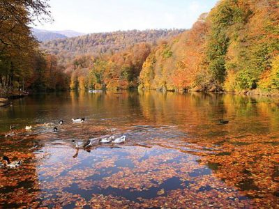 Find Your Internal Harmony amongst the Tranquil Beauty of Dilijan National Park